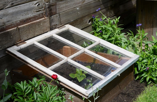 How to Protect Fall Crops from Frost and Pests