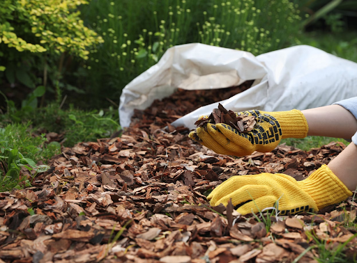 Feeding the Soil: Simple Fall Amendments That Make a Big Spring Difference